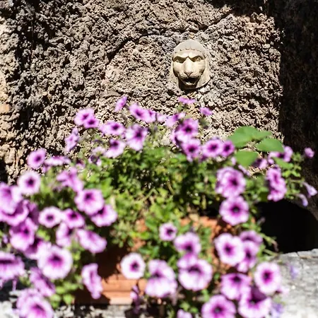 Διαμέρισμα Bonelli Σιένα