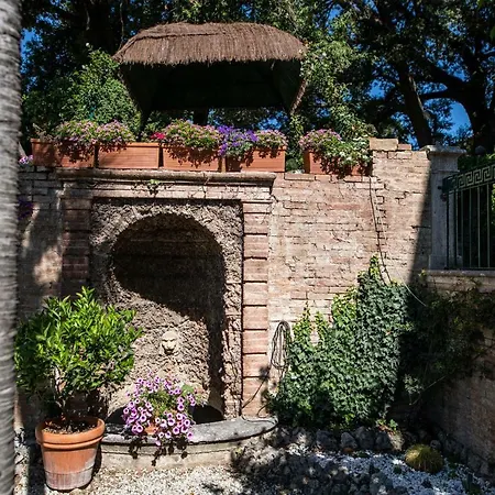 Bonelli * Σιένα