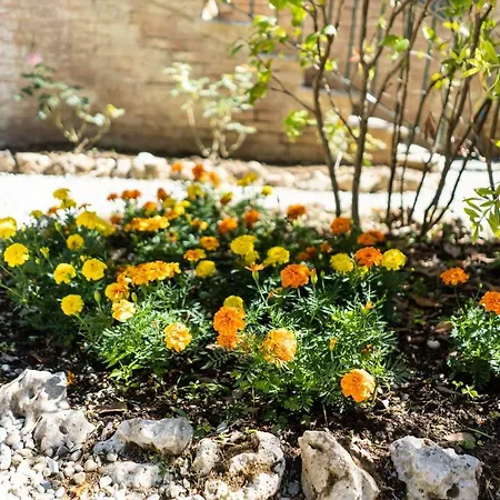 Διαμέρισμα Bonelli