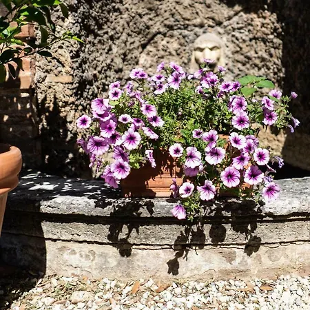 Appartement Bonelli Sienne