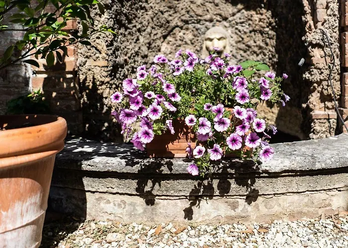 Apartamento Bonelli Siena