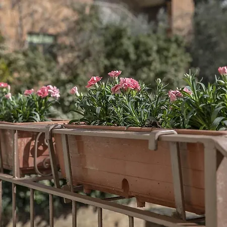Bonelli * Siena