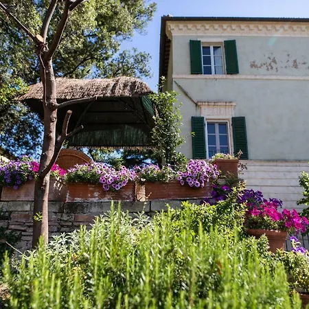 Bonelli Siena