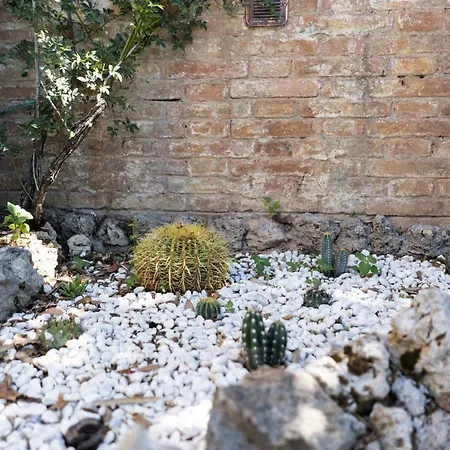 Appartement Bonelli *